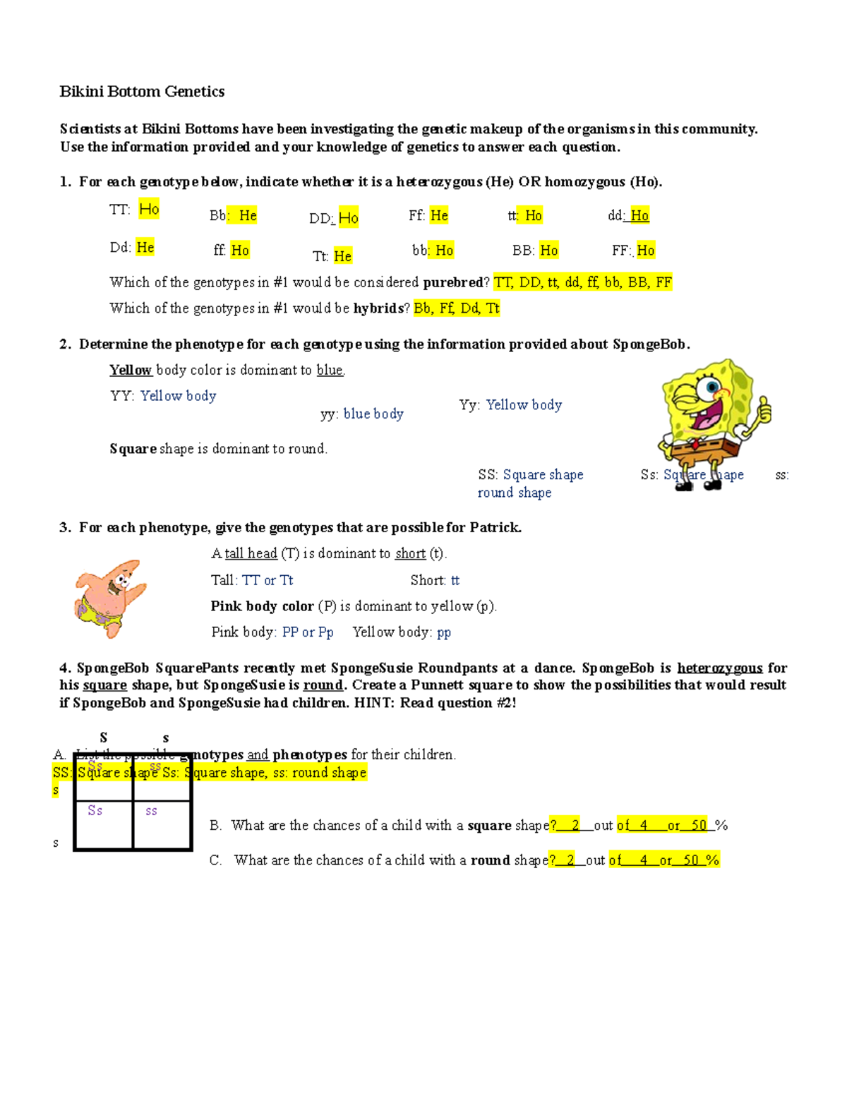 Spongebob Genetics Worksheet Answers