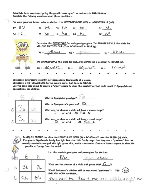 Spongebob Punnett Square Answer Key Revealed!