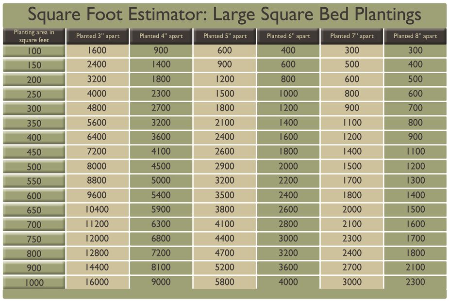 Square Feet Conversion Brown Shemale