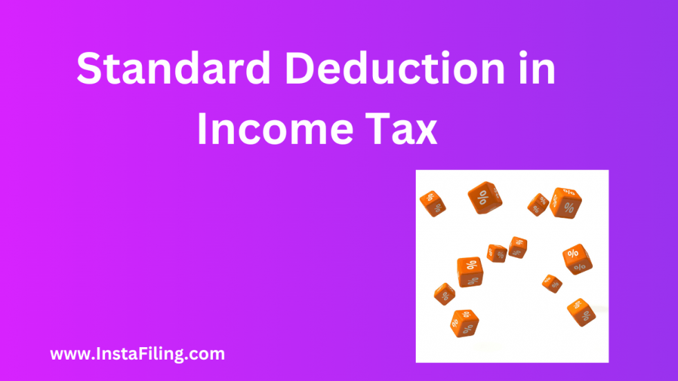 Standard Deduction In Income Tax 2023 Examples Instafiling