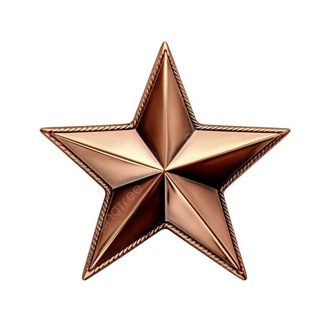 Star Badge Project Bronze Award