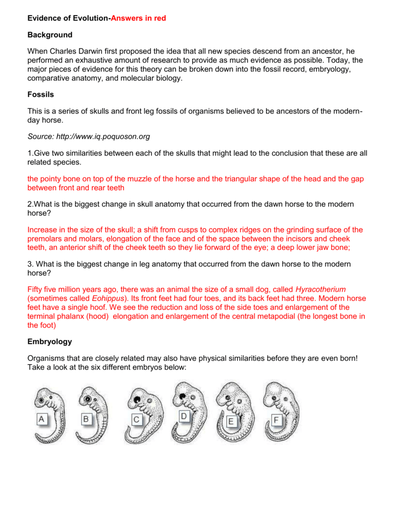 5 Answers to Evolution Evidence Worksheet