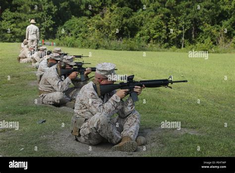 5 Ways to Master Stone Bay Rifle Range A