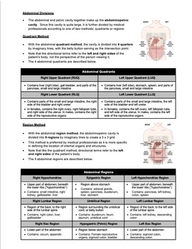 Study Sheet Directional Terminology For Anatomy By Science With Mr Enns