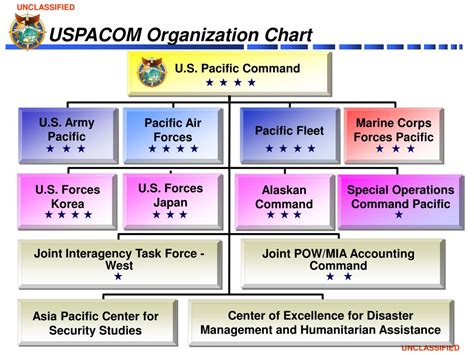 Surfpac Org Chart