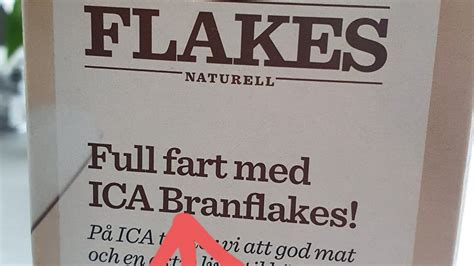 Swedish Word Fart