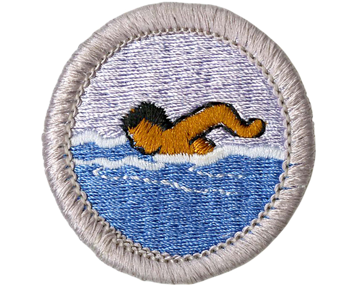 Swimming Merit Badge Boy Scouts Of America Worksheets Library