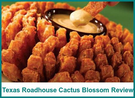 Texas Roadhouse Cactus Blossom Review 2024