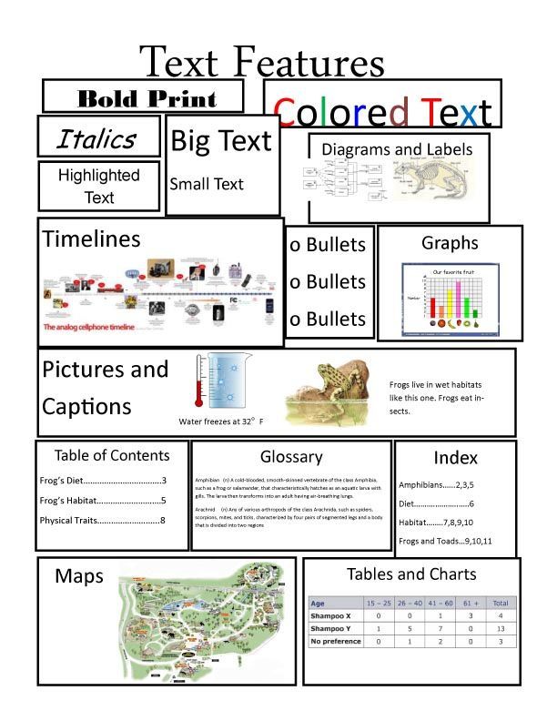 Text Features Worksheet 3Rd Grade E Street Light