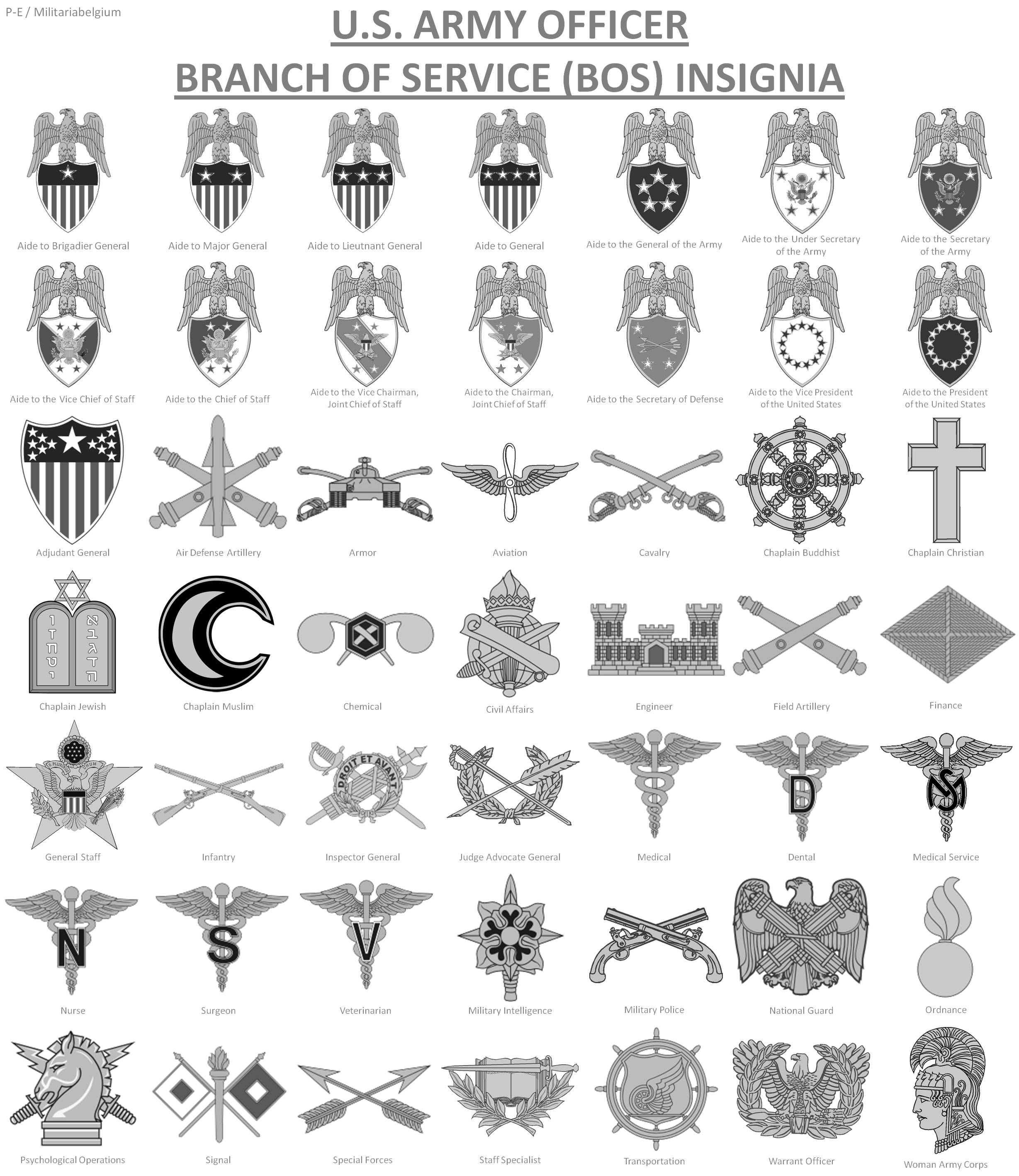 The Army Branches Of The Army