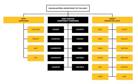 The Army Chain Of Command In The Army