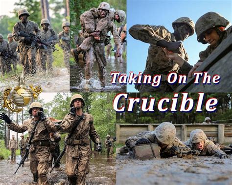 The Crucible A Test Of Strength And Resilience For Marines