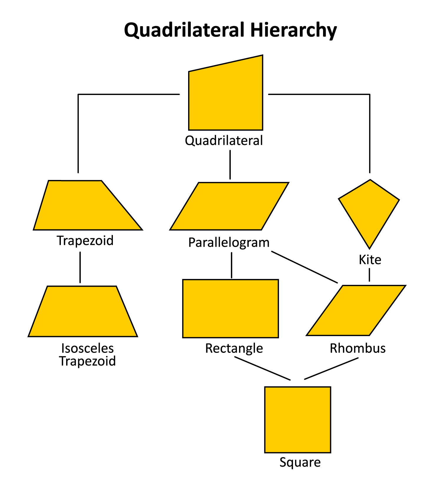 The Different Types Of Quadrilaterals