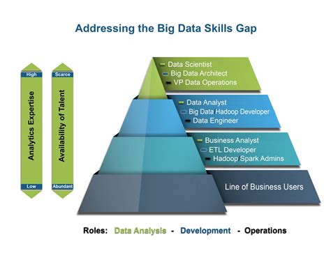 The Dynamics Of Data Roles Amp Teams European Leadership University