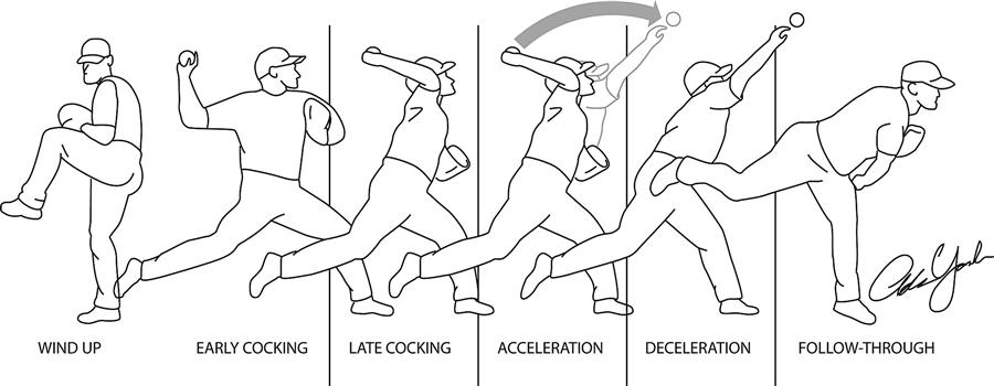 The Five Phases Of Throwing A Ball