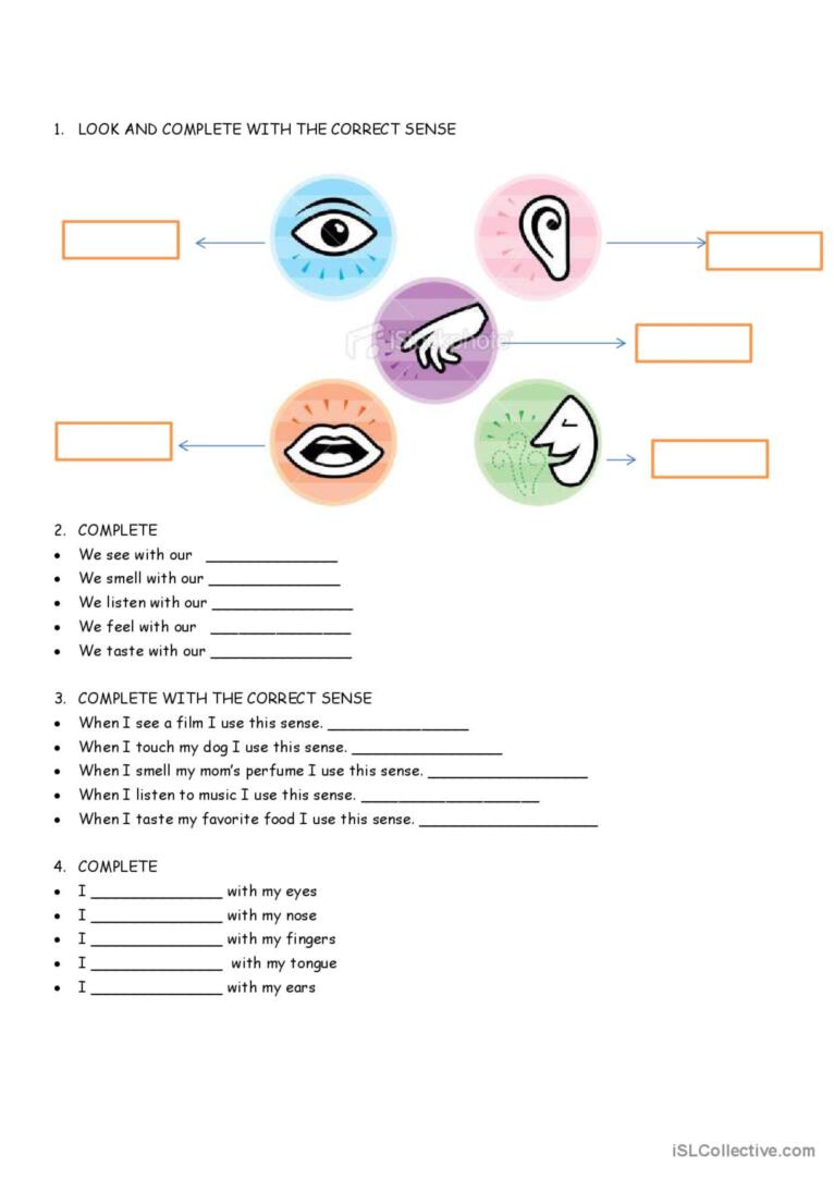 The Five Senses Esl Worksheet By Carriekitten