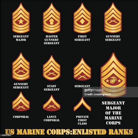 The Insignia Of Enlisted Ranks In The Us Marine Corps Us Marine Corps Marine Corps Marine