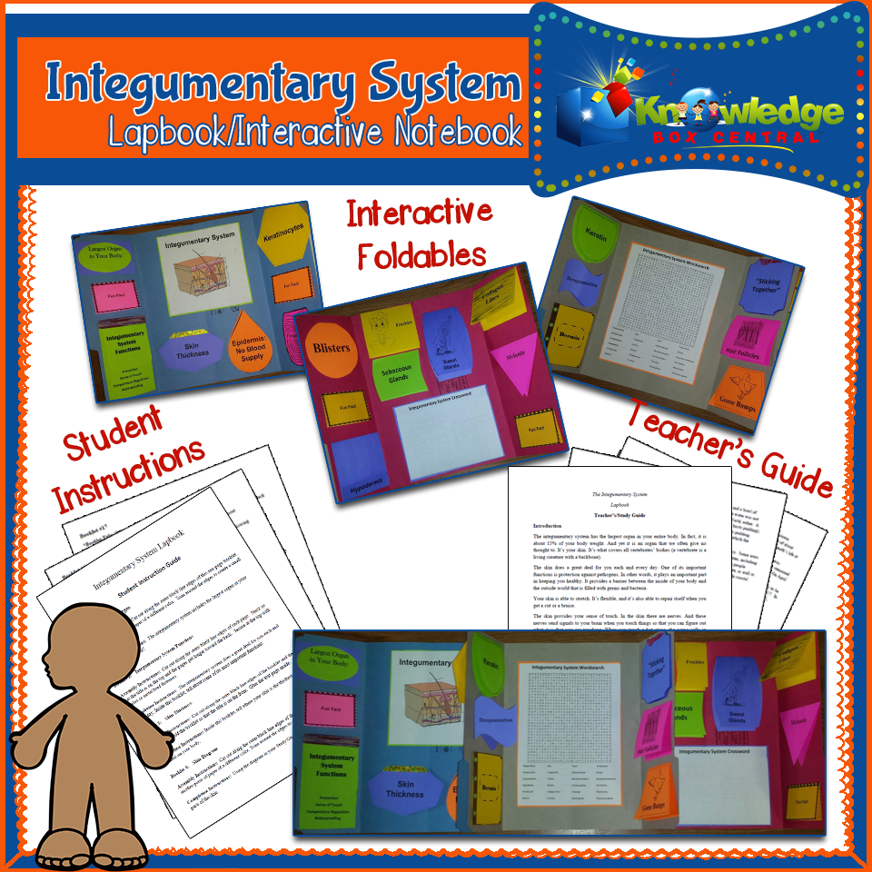 The Integumentary System Digital Interactive Notebook Pages Tpt