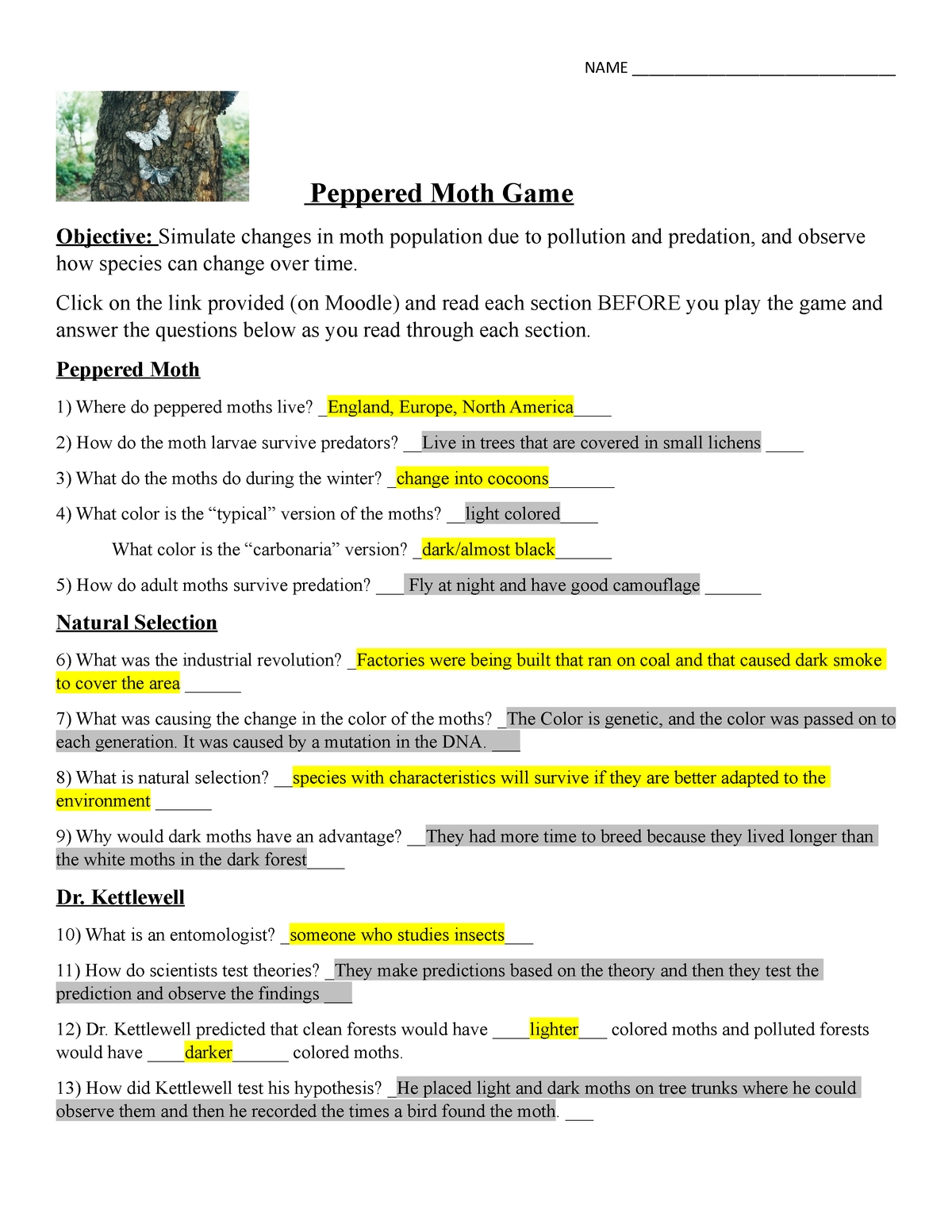 The Peppered Moth Worksheet For 7Th 12Th Grade Lesson Planet