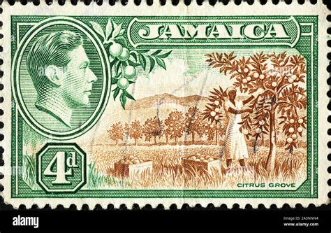 The Post Vintage Stamps Stamp Collecting Jamaican Culture