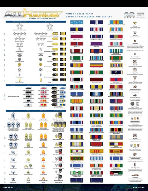 The Seal Structure A Review Of The Ranking System Within The Navy Seals