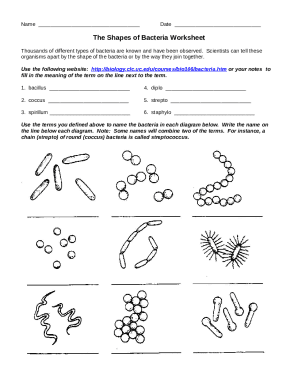 The Shapes Of Bacteria Worksheet 1 Name