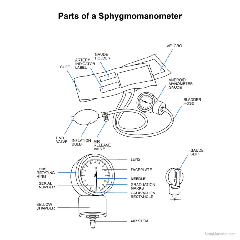 The Sphygmomanometer Measurement Of Blood Pressure Stock Photo Image