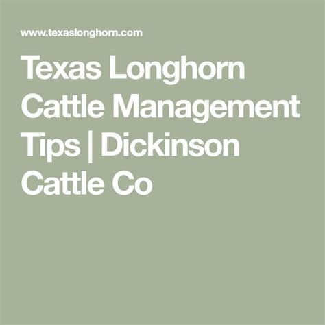 The Texas Longhorn Cattle Management Guide For Cattleers And Ranchers With Text That Reads