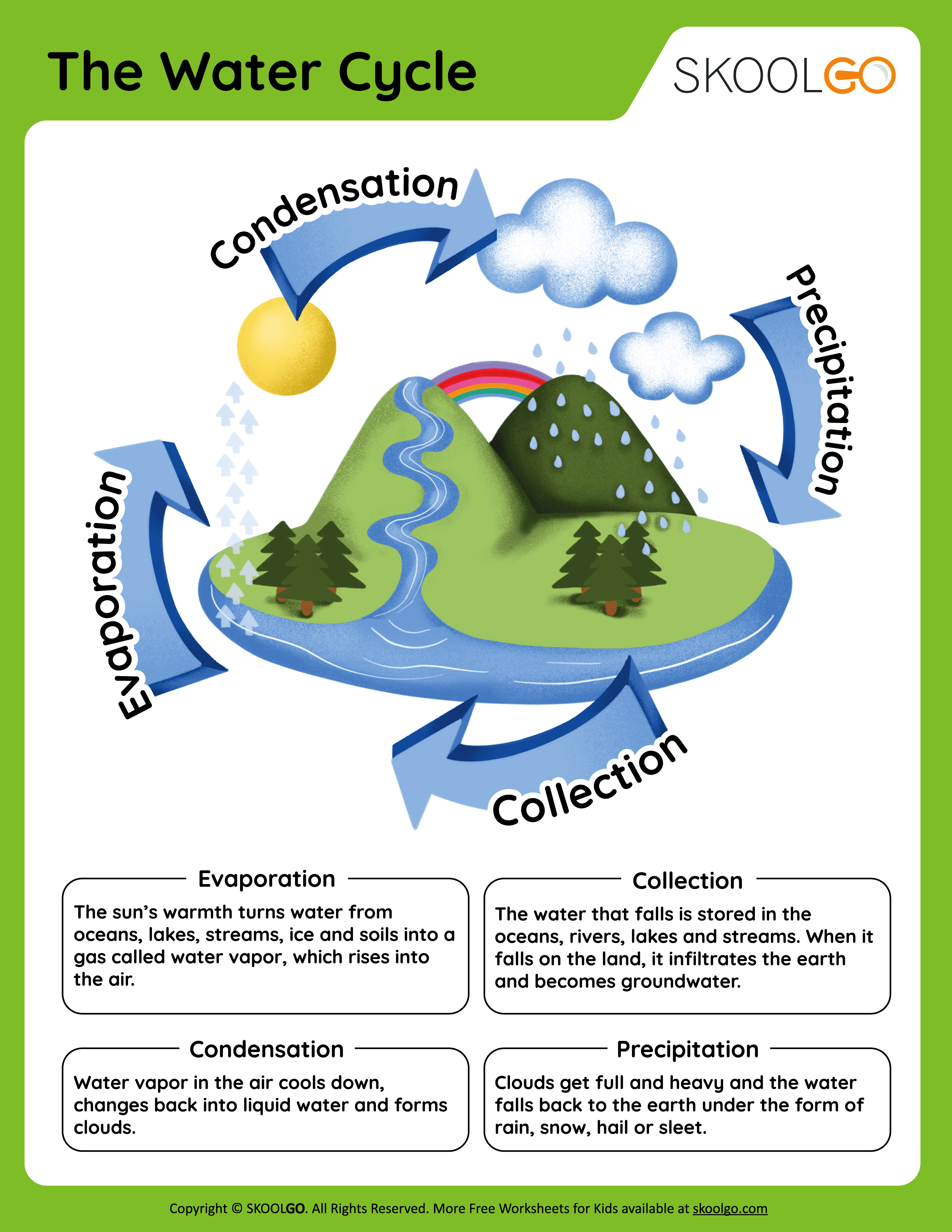 The Water Cycle Day 3 Interactive Worksheet Water Cycle Worksheet