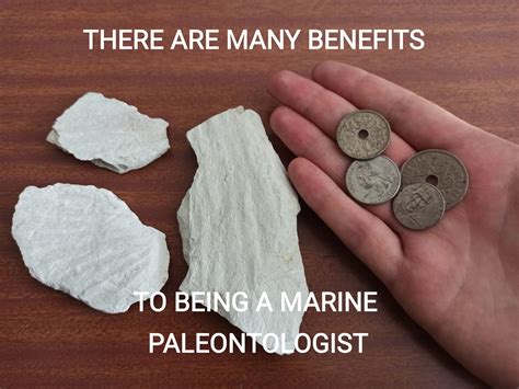 There Are Many Benefits To Being A Marine Paleontologist There Are Many Benefits To Being A