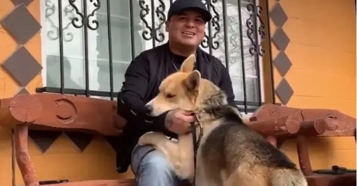 This Lost Pup Visits The Police Station In Order To Announce About His Disappearance