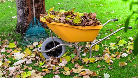 Tips For Yard Work Warriors Patient First