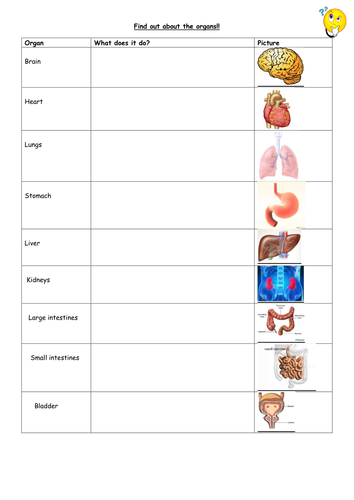 Tissues Organs Systems Biology Notes For Igcse 2014