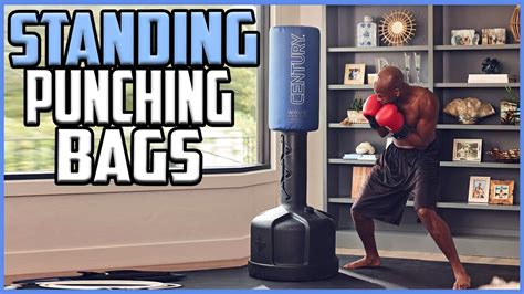 Top 5 Best Standing Punching Bags Reviews Youtube