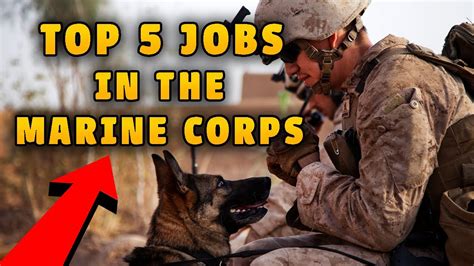 Top 5 Jobs In The Marine Corps Youtube