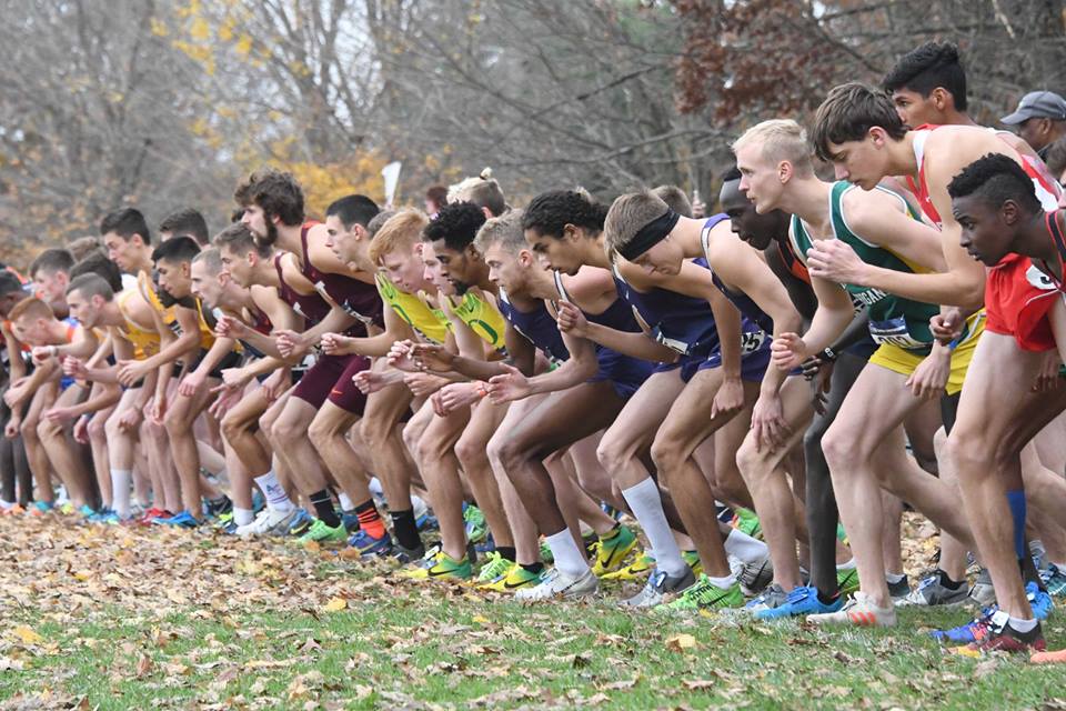 Track and Field Recruiting Standards