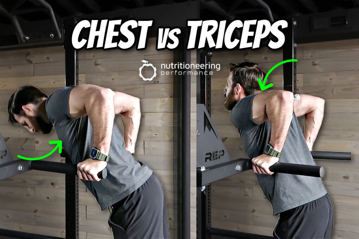 Transform Your Upper Body With Perfect Tricep Dips Anytime Fitness