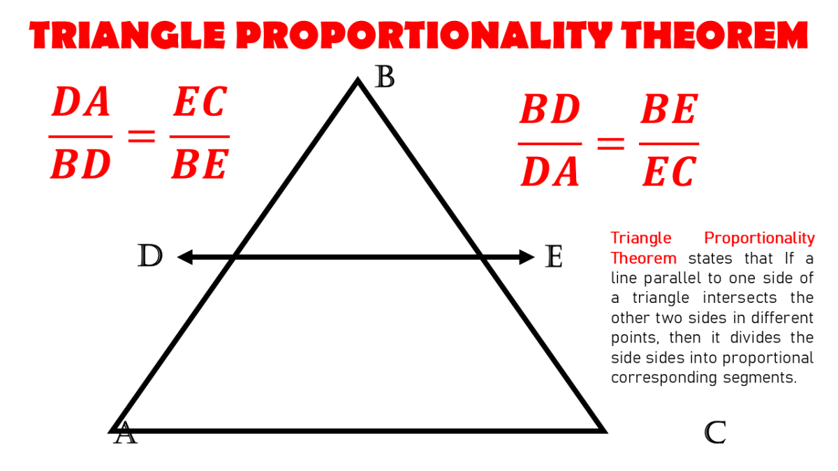 Triangle Proportionality Theorem With Proof And Examples Owlcation