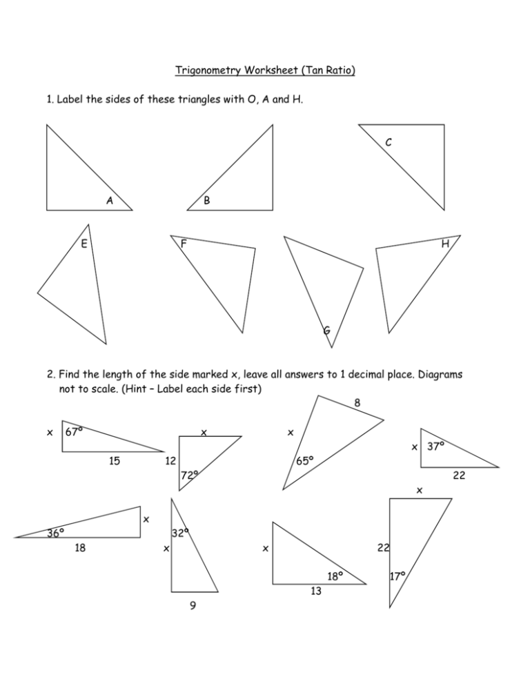 Trigonometry Worksheet Tan Ratio