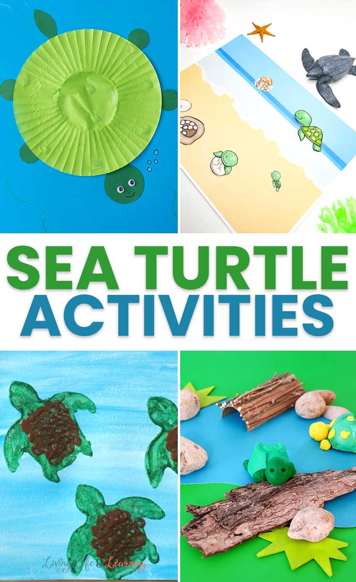 Turtle Activities For Preschoolers Turtle Activities Sea Turtle