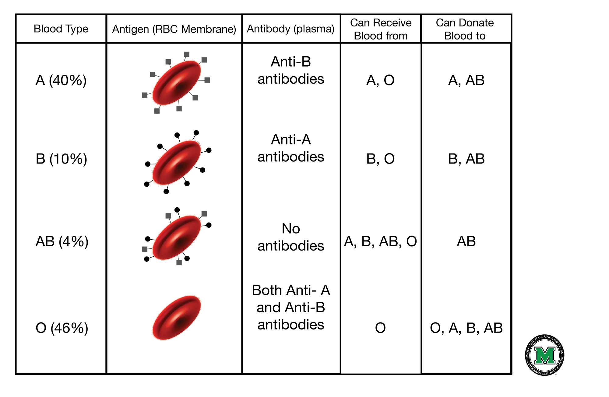 Types Of Blood Worksheet