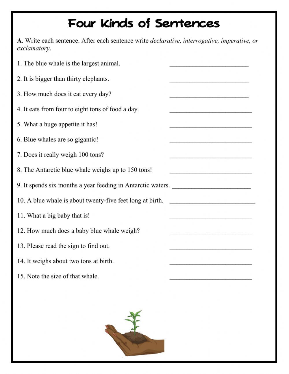 Types Of Sentences Worksheets Pdf Worksheet Now