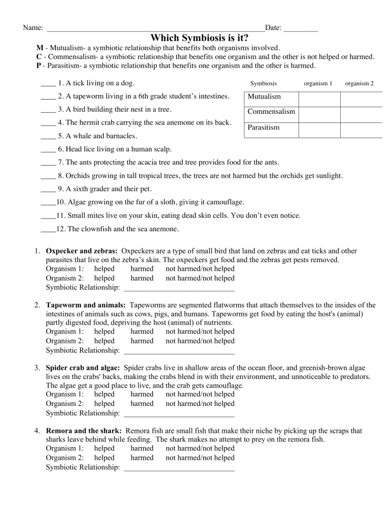 Types Of Symbiosis Worksheet Answer Key Studying Worksheets