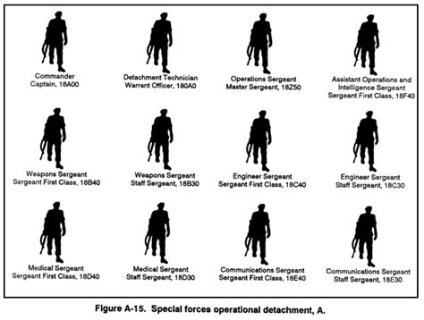 Special Forces Team Size: What's Typical?