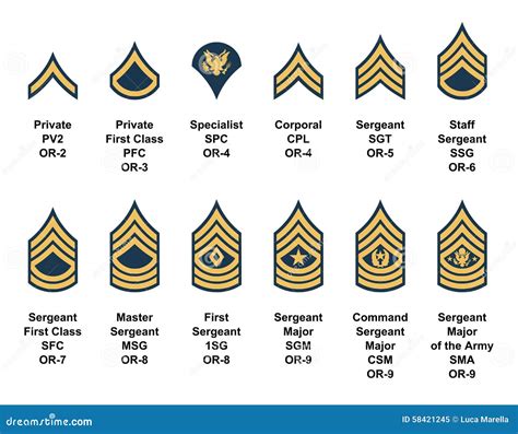 U S Army Rank