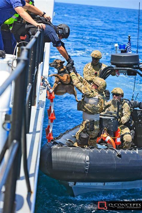 U S Coast Guard Msrt Taclet Passing The Dog The Boat Crews Wear