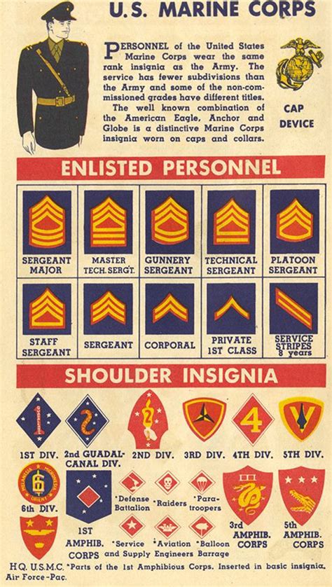 U S Marine Rank Insignia Of World War Ii