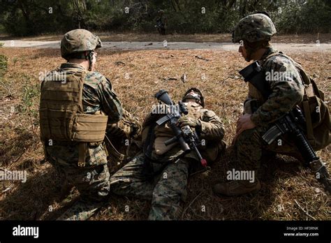 U S Marines Assigned To 2D Low Altitude Air Defense Battalion 2D Laad