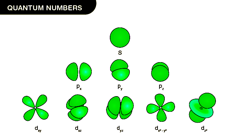 Understand Quantum Numbers Detailed Explanation With Examples