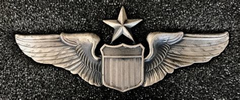 United States Air Force Senior Pilot Wing Collector